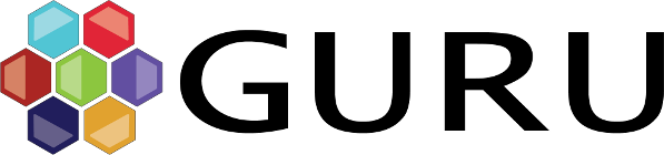 Guru Developments Blog icon